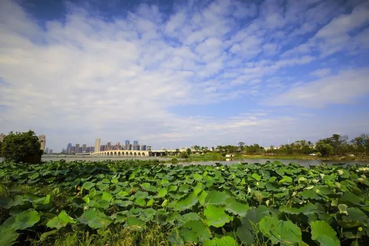 墨水灣項(xiàng)目位于美麗的墨水湖畔